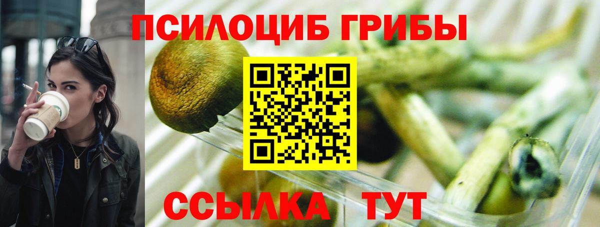 Псилоцибиновые грибы прущие грибы  Вход с VPN  Славянск-на-Кубани  Псилоцибиновые грибы мицелий 